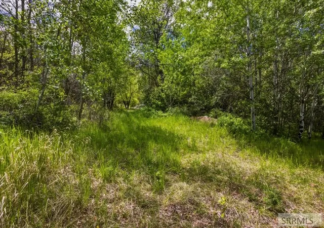 2nd image of Tbd Oliver Dr, Salmon, ID 83467 | MLS# 2187697