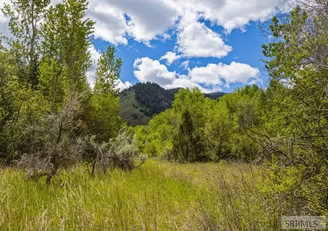 4th image of Tbd Oliver Dr, Salmon, ID 83467 | MLS# 2187697
