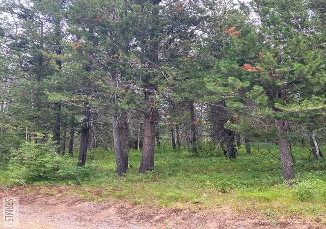 5th image of 1596 Annies Landing, Ashton, ID 83420 | MLS# 2186261