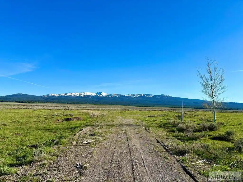 Land for sale at Tbd Majestic Ct, Island Park, ID 83429 | MLS# 2189888