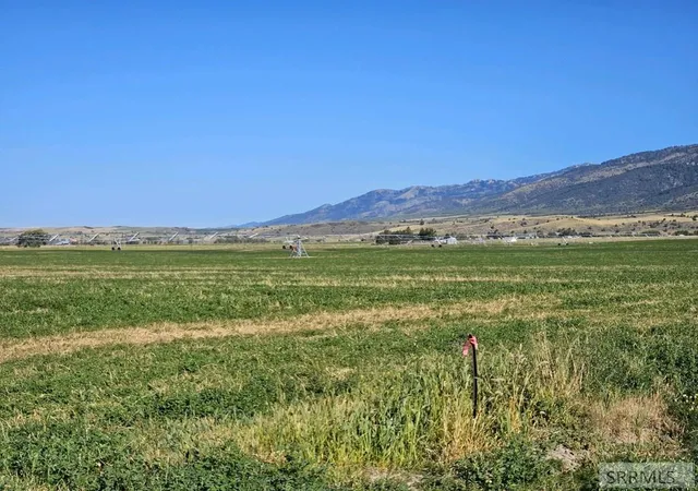 Homes for sale in Swan Valley, ID | 2007 Chapel Road, Swan Valley, ID 83449 | MLS# 2186519