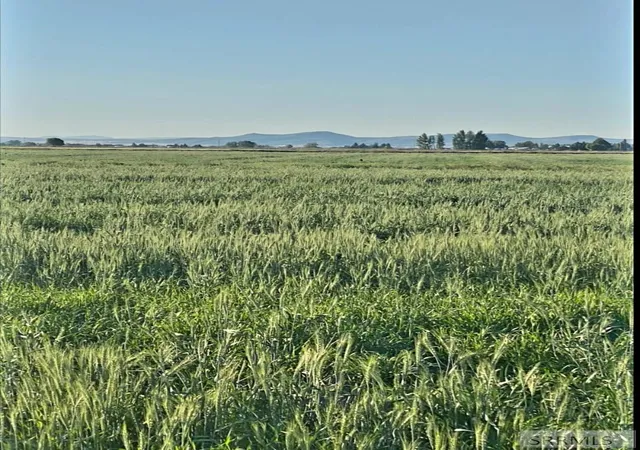Photo 3 of Land for sale at Tbd 1600 S 5000 W, Rexburg, ID 83440 | MLS# 2188050 | Listing updated on 2026-07-27