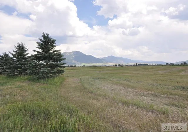 Homes for sale in Swan Valley, ID | Lot 1,b2 Swan Springs Dr, Swan Valley, ID 83449 | MLS# 2185568