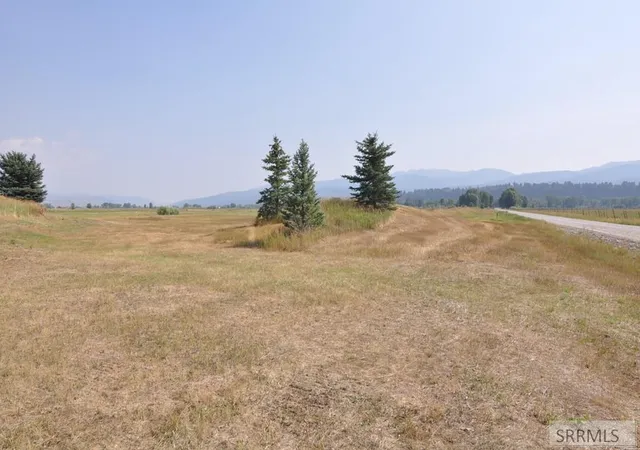 Homes for sale in Swan Valley, ID | Lot 1,B2 Swan Springs Dr, Swan Valley, ID 83449 | MLS# 2185568