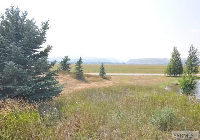 Homes for sale in Swan Valley, ID | Lot 1,B2 Swan Springs Dr, Swan Valley, ID 83449 | MLS# 2185568
