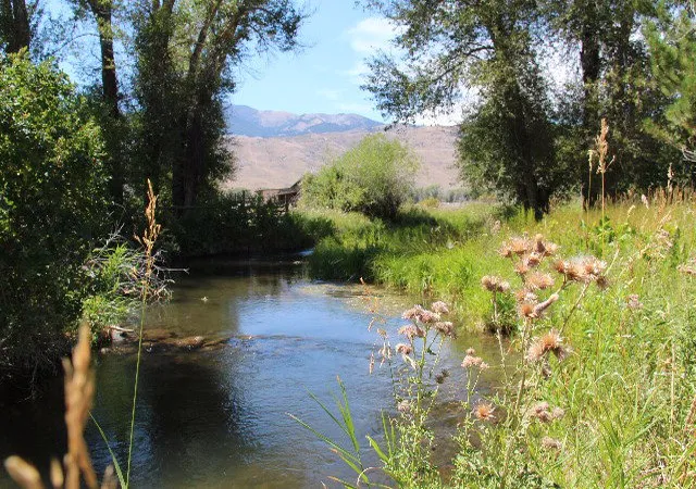 Photo 3 of Land for sale at 803/805 W College Avenue, Mackay, ID 83251 | MLS# 2187376 | Listing updated on 2026-06-26