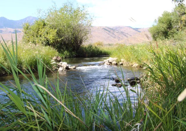 Photo 3 of Land for sale at 803/805 W College Avenue, Mackay, ID 83251 | MLS# 2187376 | Listing updated on 2026-06-26