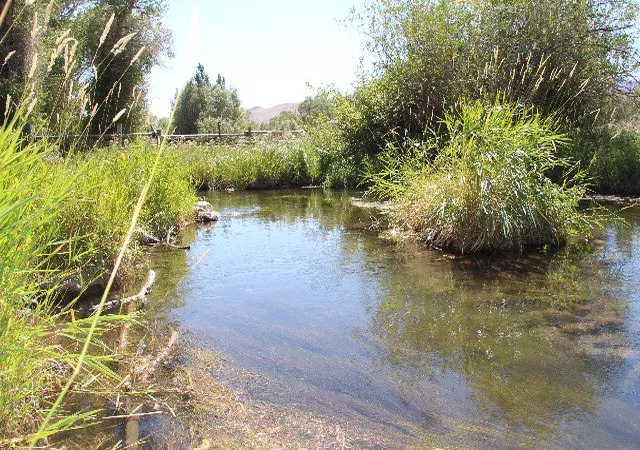Photo 4 of Land for sale at 803/805 W College Avenue, Mackay, ID 83251 | MLS# 2187376 | Listing updated on 2026-06-26