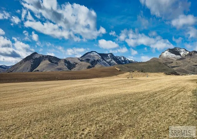 Photo 2 of Land for sale at Tbd Williams Creek Road, Salmon, ID 83467 | MLS# 2185988 | Listing updated on 2026-08-25