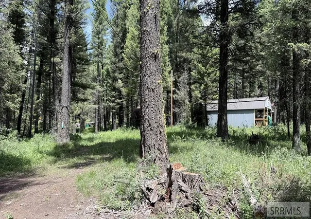 Homes for sale in Island Park, ID | 3551 N Juniper Dr, Island Park, ID 83429 | MLS# 2187535