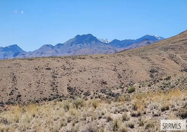 Photo 3 of Land for sale at 714 Buckskin Run, Challis, ID 83226 | MLS# 2188780 | Listing updated on 2026-08-26