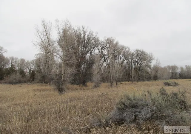 1st image of 4617 E 200 N, Rigby, ID 83442 | MLS# 2182037
