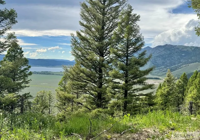 Photo 3 of Land for sale at Tbd Mountain Dr, Island Park, ID 83429 | MLS# 2187872 | Listing updated on 2026-08-19