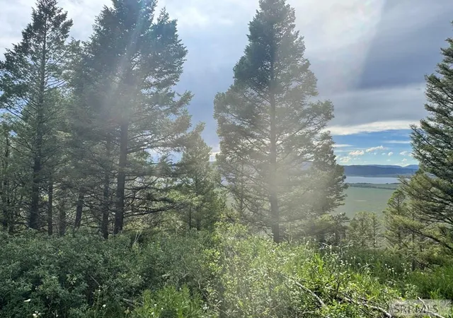 Photo 3 of Land for sale at Tbd Mountain Dr, Island Park, ID 83429 | MLS# 2187872 | Listing updated on 2026-08-19