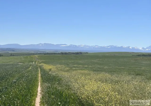 Photo 3 of Land for sale at 4134 Mountain Shadows Lane, Ashton, ID 83420 | MLS# 2187648 | Listing updated on 2026-07-11