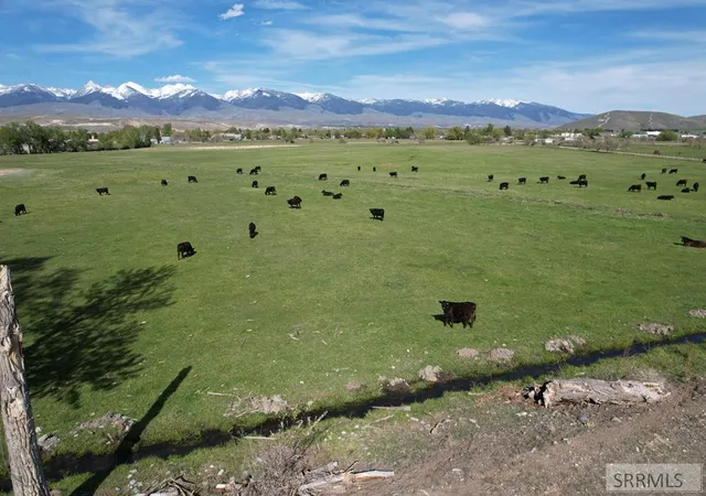 1st image of Tbd S St Charles Street, Salmon, ID 83462 | MLS# 2181882