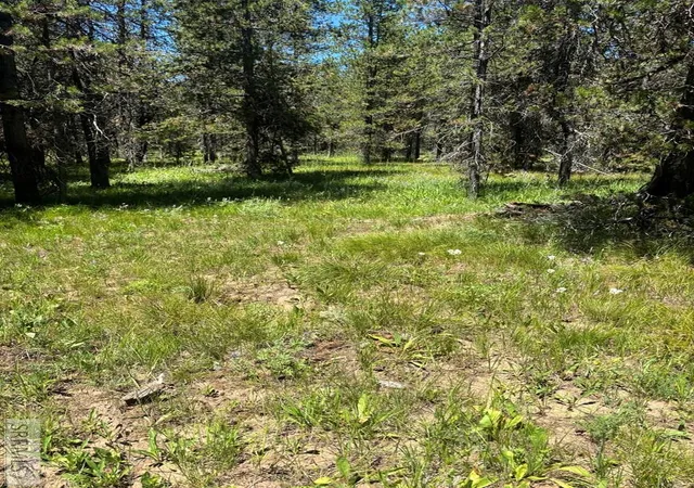 Photo 3 of Single family home for sale at 3821 Totem Road, Island Park, ID 83429 | MLS# 2187709 | Listing updated on 2026-10-06