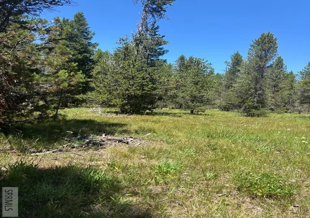 Photo 3 of Single family home for sale at 3821 Totem Road, Island Park, ID 83429 | MLS# 2187709 | Listing updated on 2026-10-06