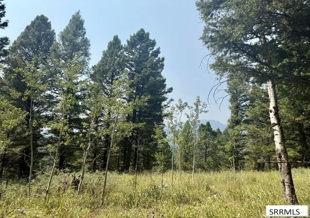 Photo 3 of Land for sale at 4911 Alpenglow Way, Island Park, ID 83421 | MLS# 2187880 | Listing updated on 2026-09-15