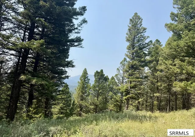 Photo 3 of Land for sale at 4911 Alpenglow Way, Island Park, ID 83421 | MLS# 2187880 | Listing updated on 2026-09-15