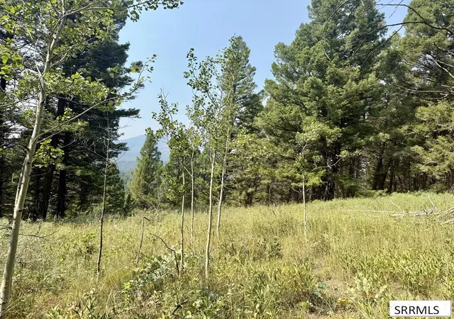 Photo 4 of Land for sale at 4911 Alpenglow Way, Island Park, ID 83421 | MLS# 2187880 | Listing updated on 2026-09-15