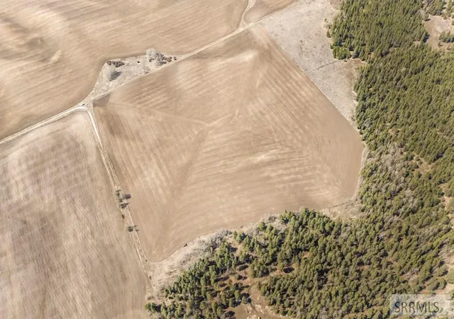 Photo 3 of Sale Pending at Tbd E 700 N, Ashton, ID 83420 | MLS# 2185325 | Listing updated on 2026-10-07