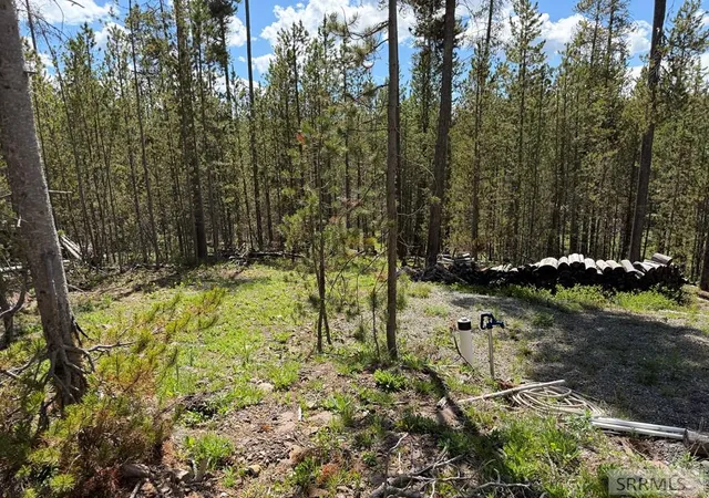 5th image of 3917 E Chief Joseph Dr, Island Park, ID 83429 | MLS# 2186822
