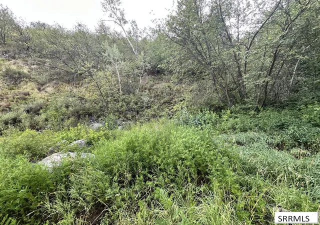 Photo 4 of Sale Pending at 4061 Swan Valley Hwy, Irwin, ID 83428 | MLS# 2188737 | Listing updated on 2026-09-18