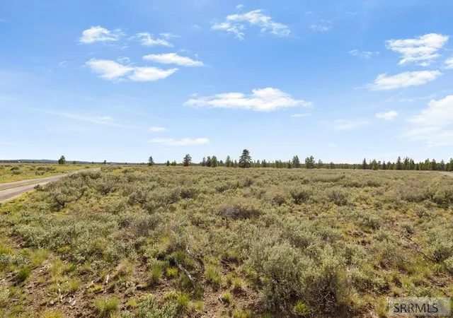 15th image of 3565 Pine Grouse Road, Island Park, ID 83429 | MLS# 2186780