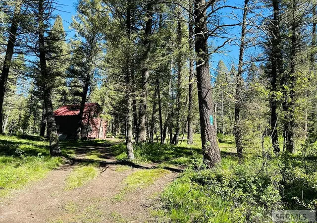 20th image of 4159 Wooded Lane, Island Park, ID 83429 | MLS# 2186736
