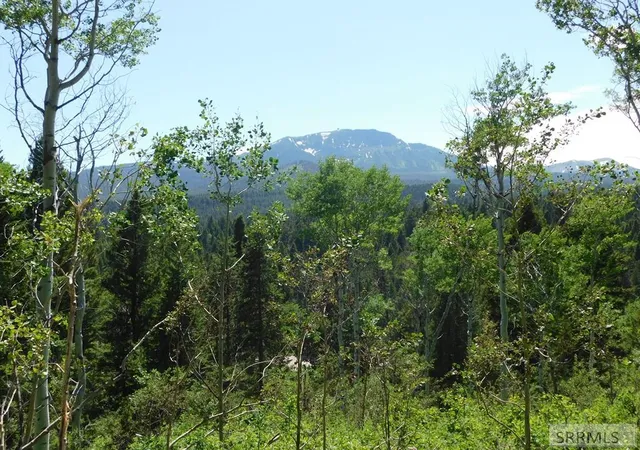 1st image of 4907 Shadow Wood, Island Park, ID 83429 | MLS# 2186711
