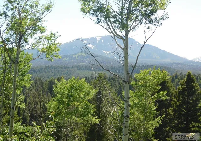 2nd image of 4907 Shadow Wood, Island Park, ID 83429 | MLS# 2186711