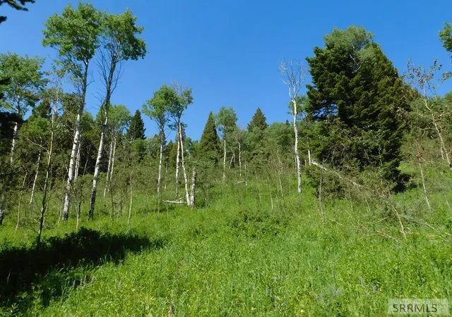 3rd image of 4907 Shadow Wood, Island Park, ID 83429 | MLS# 2186711