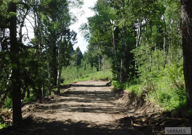 4th image of 4907 Shadow Wood, Island Park, ID 83429 | MLS# 2186711