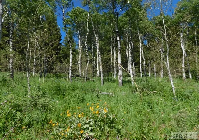 5th image of 4907 Shadow Wood, Island Park, ID 83429 | MLS# 2186711