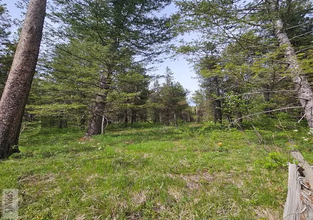 Photo 3 of Land for sale at 1537 Shadow Run, Ashton, ID 83420 | MLS# 2186503 | Listing updated on 2026-08-04
