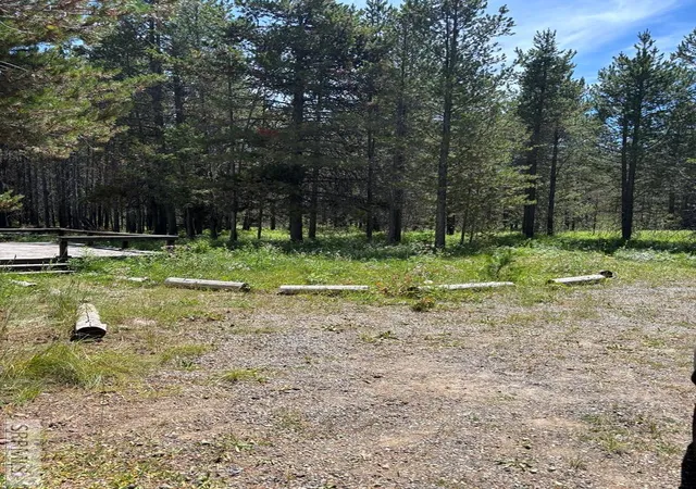 4th image of 3789 Homestead Dr, Island Park, ID 83429 | MLS# 2185724