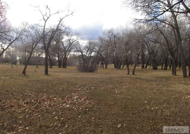 3rd image of 333 N 4440 E, Rigby, ID 83442 | MLS# 2182173