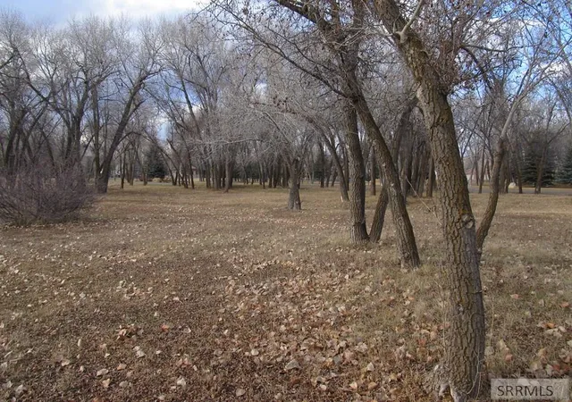 4th image of 333 N 4440 E, Rigby, ID 83442 | MLS# 2182173