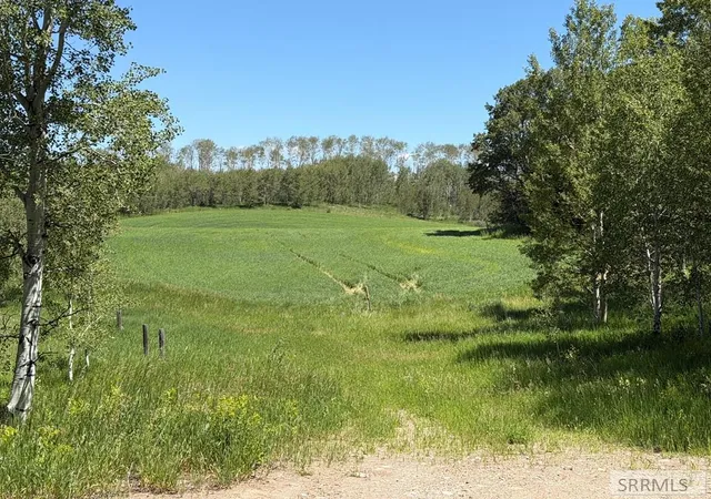 Photo 3 of Sale Pending at 4935 E 900 N, Ashton, ID 83420 | MLS# 2187653 | Listing updated on 2026-08-04