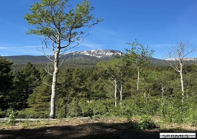 Photo 1 of Land for sale at 4911 Shadow Wood, Island Park, ID 83429 | MLS# 2188402 | Listing updated on 2026-08-07
