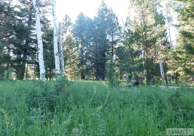 Photo 3 of Land for sale at 4911 Shadow Wood, Island Park, ID 83429 | MLS# 2188402 | Listing updated on 2026-08-07