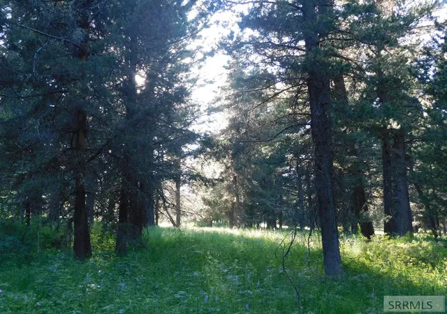 Photo 4 of Land for sale at 4911 Shadow Wood, Island Park, ID 83429 | MLS# 2188402 | Listing updated on 2026-08-07