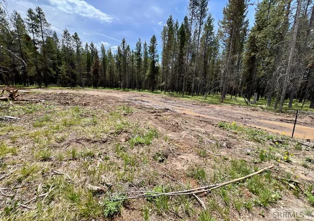 1st image of 4360 Sasquatch Ave, Island Park, ID 83429 | MLS# 2187317