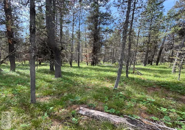 2nd image of 4360 Sasquatch Ave, Island Park, ID 83429 | MLS# 2187317