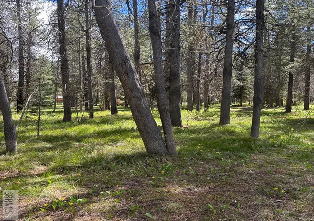 Photo 4 of Single family home for sale at 3739 Homestead Dr, Island Park, ID 83429 | MLS# 2186585 | Listing updated on 2026-10-02