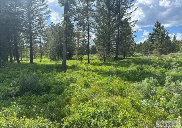 2nd image of 4095 Icehouse Creek Road, Island Park, ID 83429 | MLS# 2185510