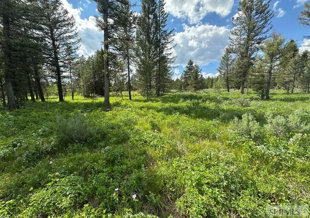 3rd image of 4095 Icehouse Creek Road, Island Park, ID 83429 | MLS# 2185510
