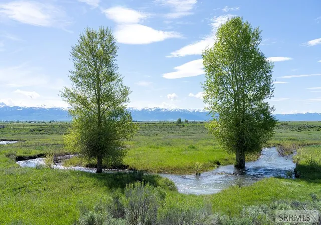 Photo 3 of Land for sale at Tbd 5 Eddyline Dr, Driggs, ID 83452 | MLS# 2187350 | Listing updated on 2026-06-27
