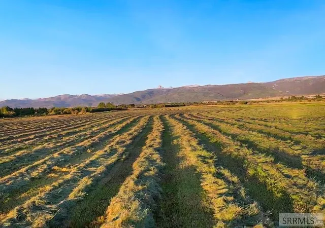 Photo 3 of House for sale at Tbd S Bates Road, Driggs, ID 83422 | MLS# 2187022 | Listing updated on 2026-06-12